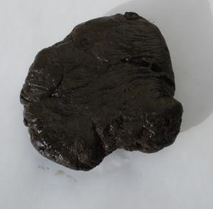 Labdanum 5g - Kuřidlo